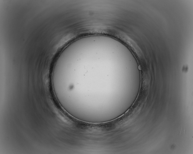 X0000101680677200807241346