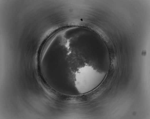 X0000101680678200807241346