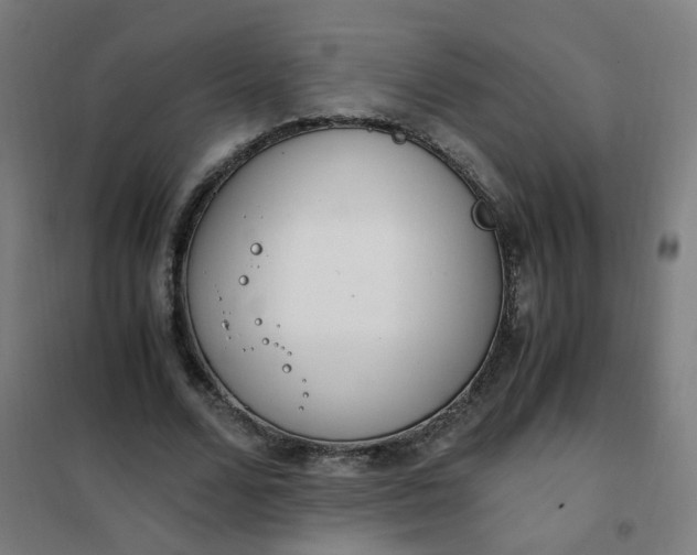 X0000101680680200807241346