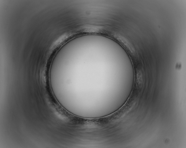 X0000101680682200807241346