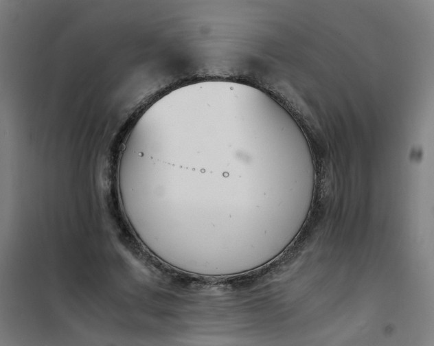 X0000101680683200807241346