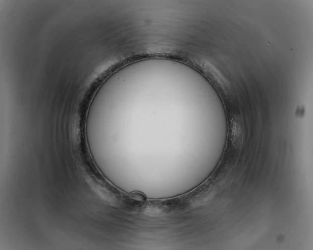 X0000101680684200807241346