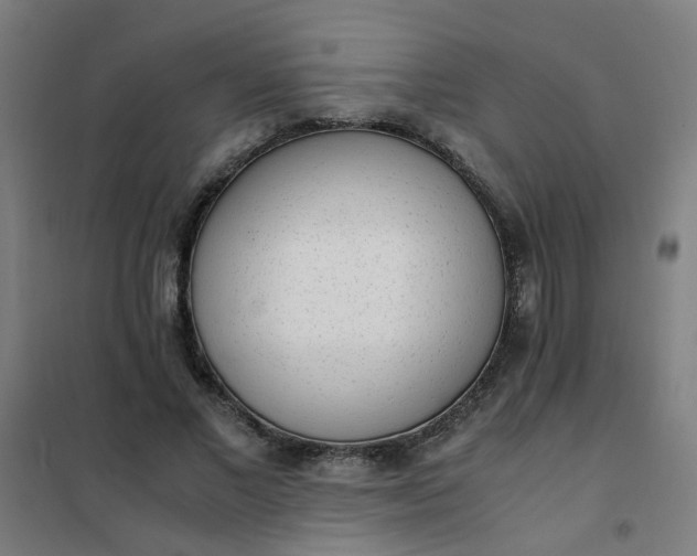 X0000101680685200807241346