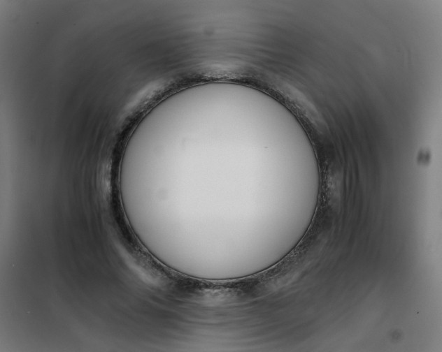 X0000101680686200807241346