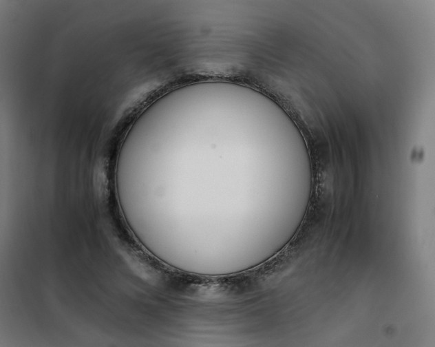 X0000101680688200807241346