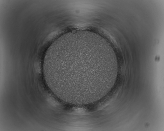 X0000101680689200807241346