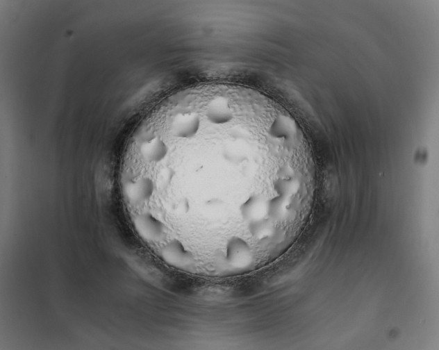 X0000101680691200807241346