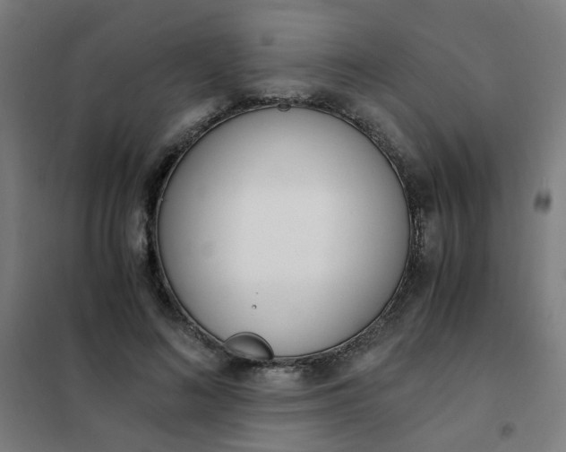 X0000101680692200807241346