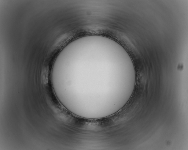 X0000101680694200807241346