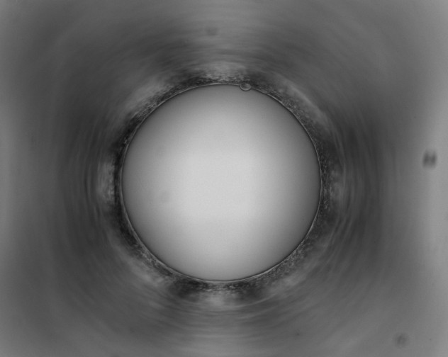 X0000101680696200807241346