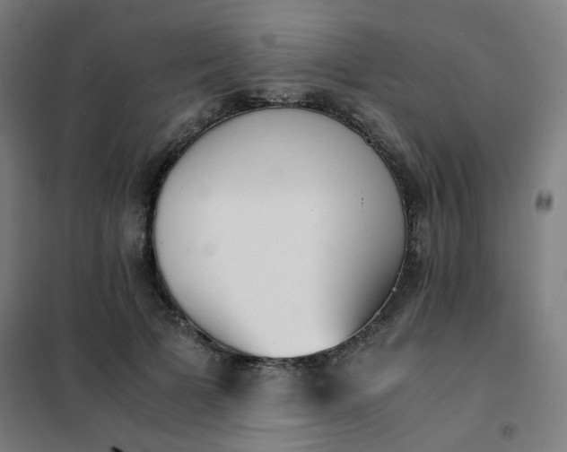 X0000101680697200807241346