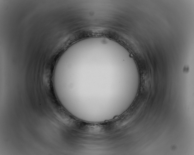 X0000101680698200807241346