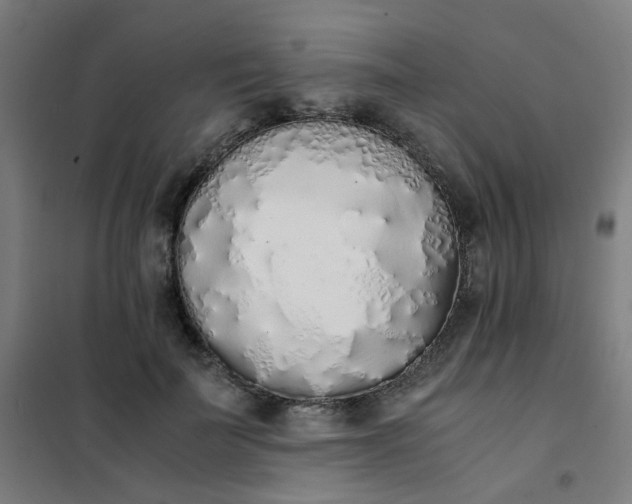 X0000101680699200807241346