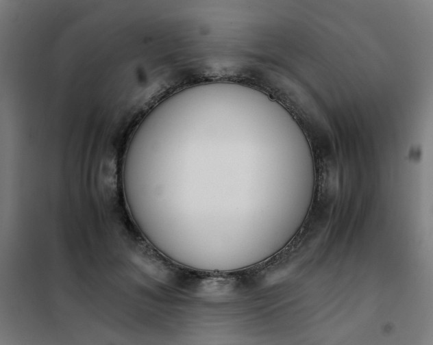 X0000101680700200807241346