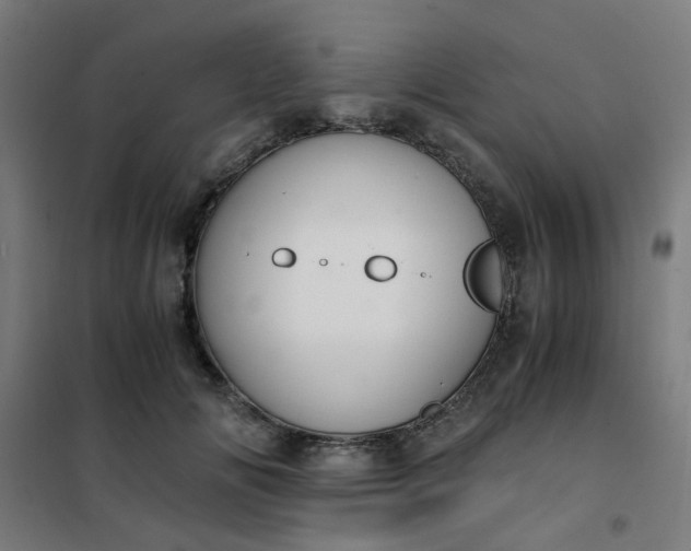 X0000101680702200807241346