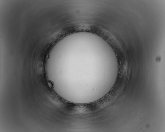 X0000101680704200807241346