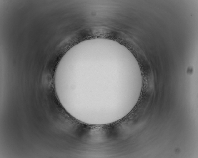 X0000101680705200807241346