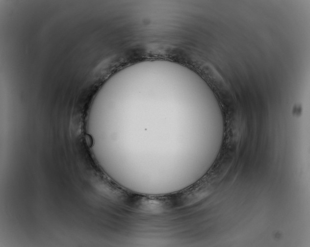 X0000101680706200807241346