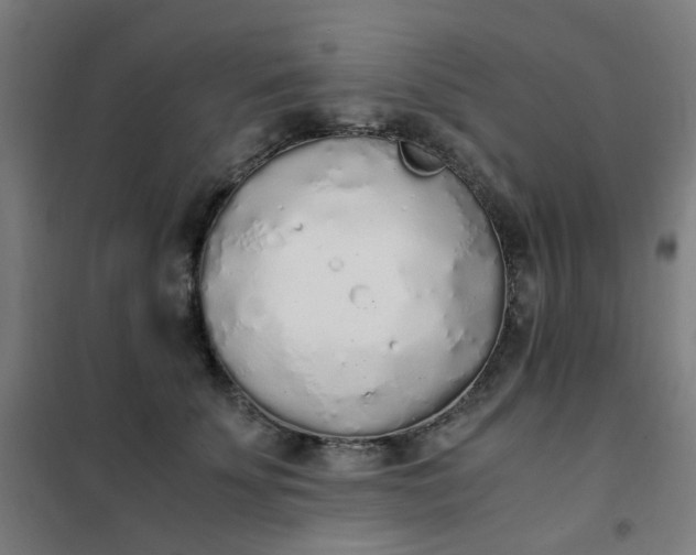 X0000101680707200807241346