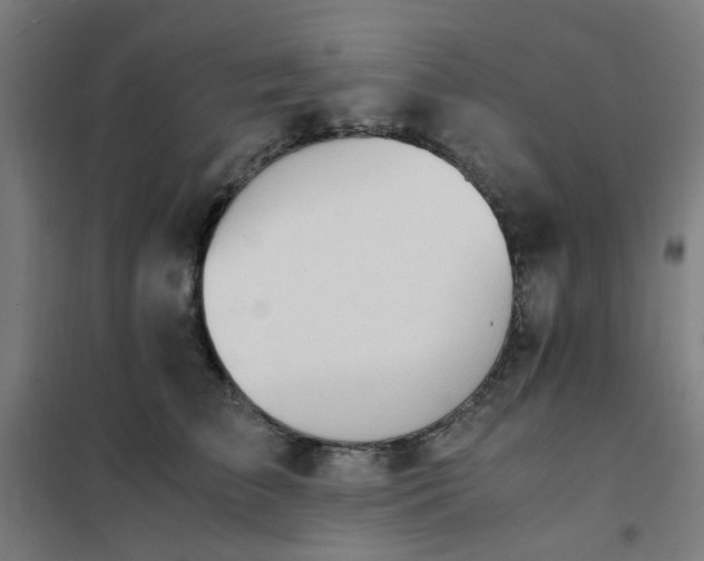 X0000101680709200807241346