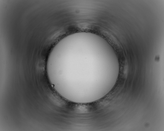 X0000101680710200807241346