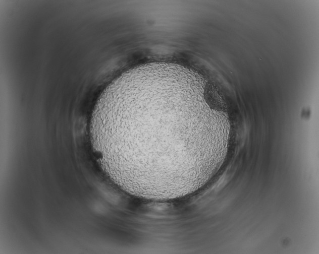 X0000101680711200807241346