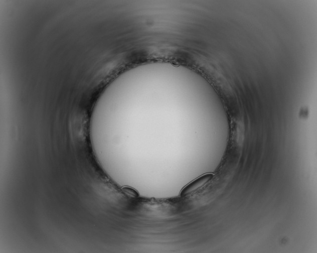 X0000101680712200807241346