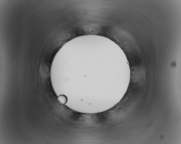 X0000101680713200807241345