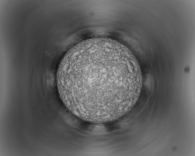 X0000101680715200807241345