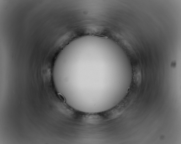 X0000101680716200807241345