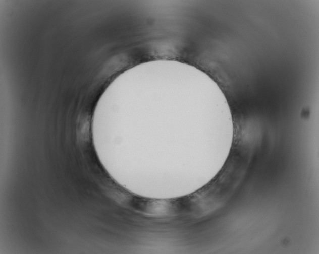 X0000101680717200807241345