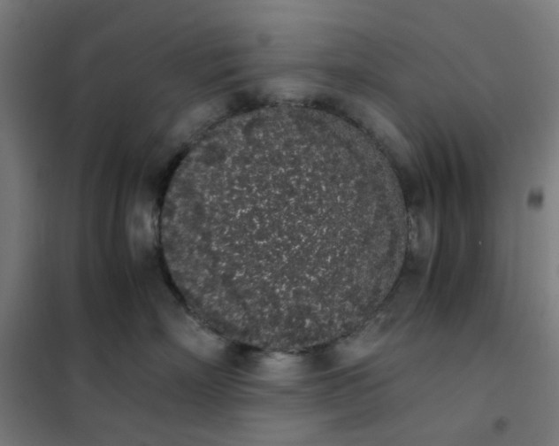 X0000101680718200807241345