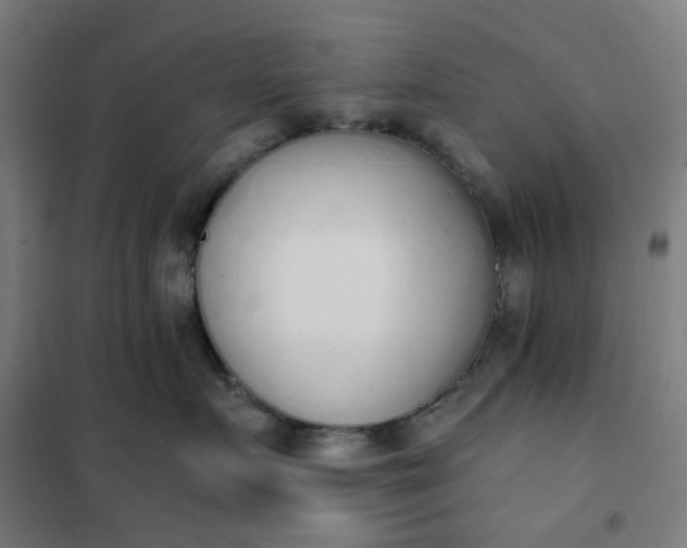 X0000101680719200807241345