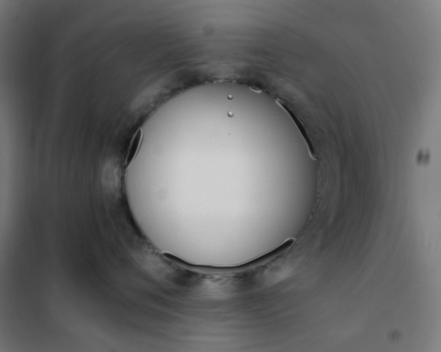 X0000101680720200807241345