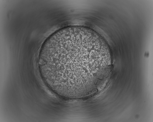 X0000101680721200807241345