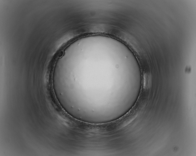 X0000101680723200807241345