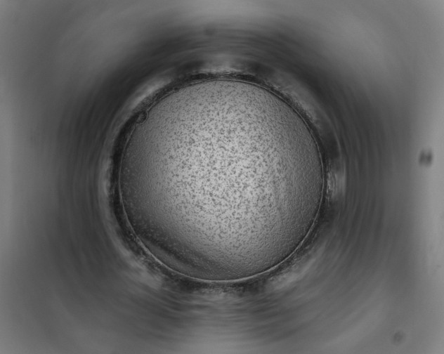 X0000101680724200807241345