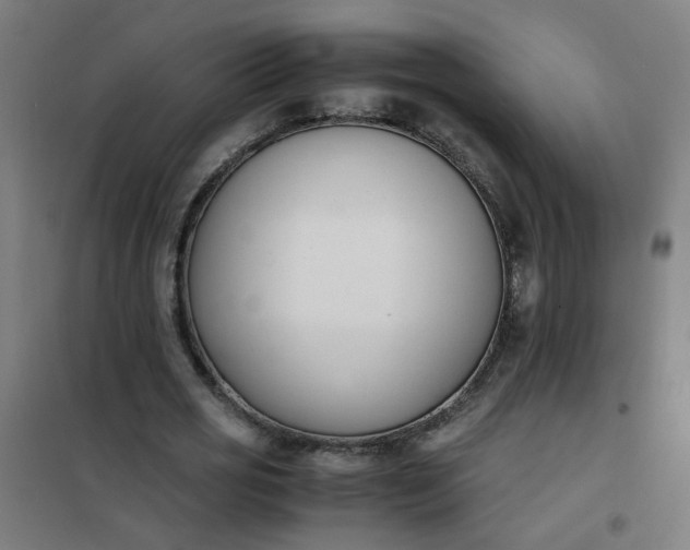 X0000101680725200807241345