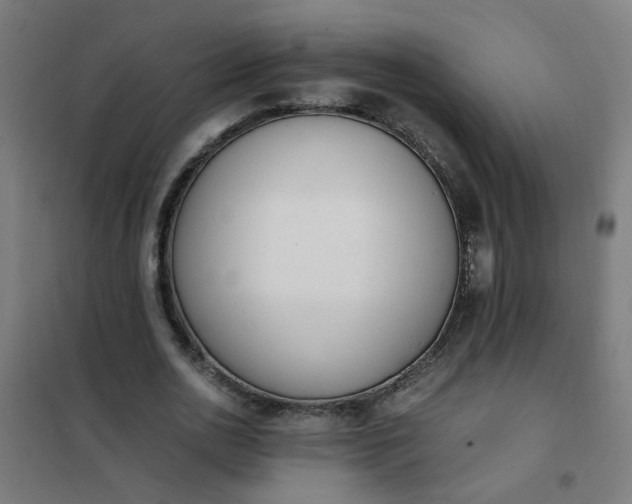 X0000101680726200807241345