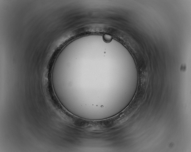 X0000101680727200807241345