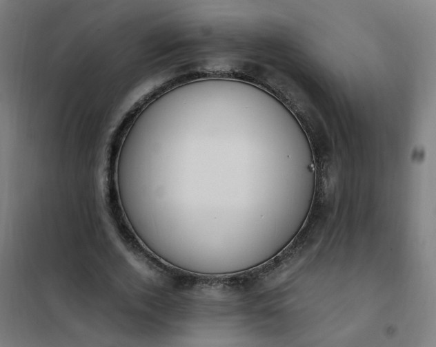 X0000101680728200807241345