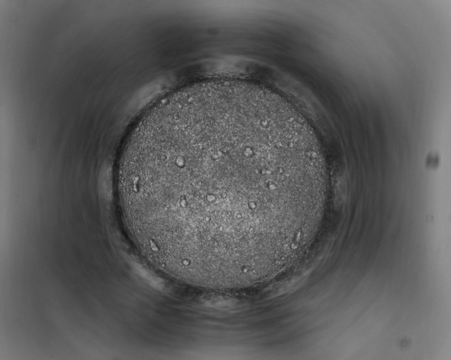 X0000101680729200807241345