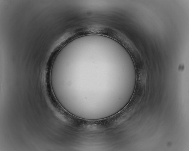 X0000101680730200807241345