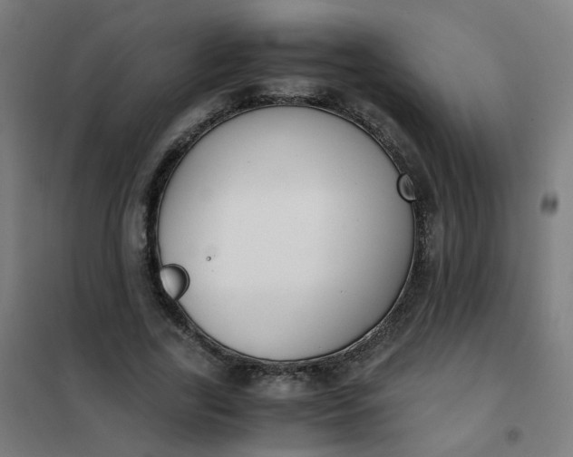 X0000101680731200807241345