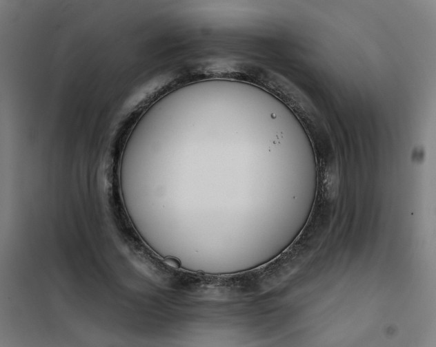 X0000101680732200807241345