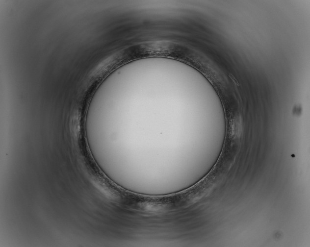 X0000101680733200807241345