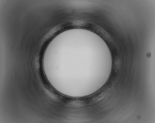 X0000101680734200807241345