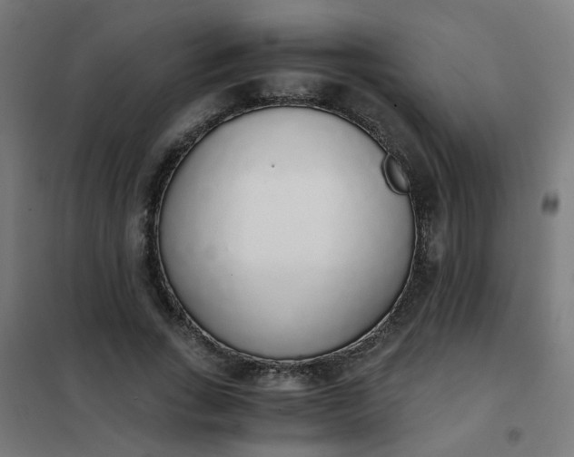 X0000101680735200807241345