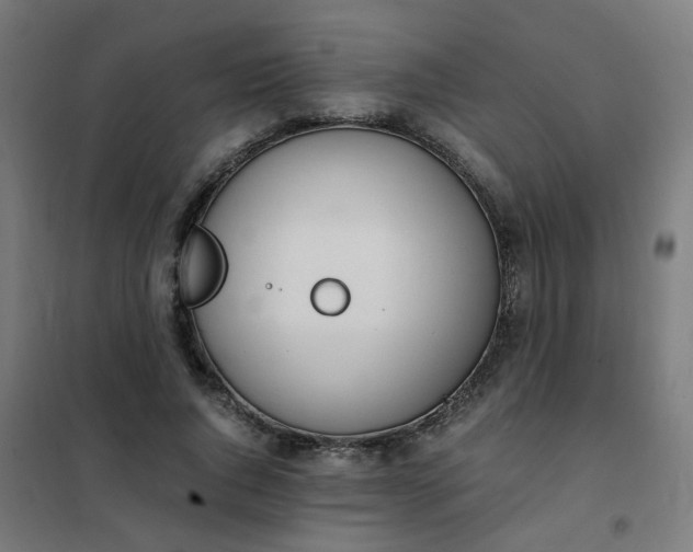 X0000101680736200807241345