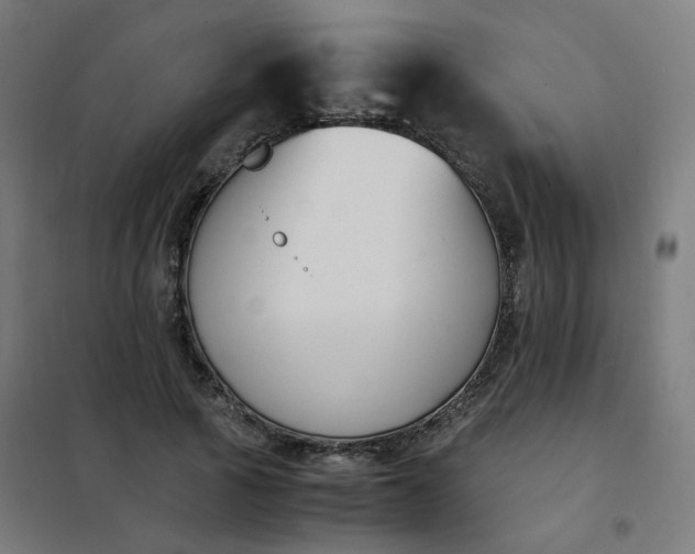 X0000101680737200807241345